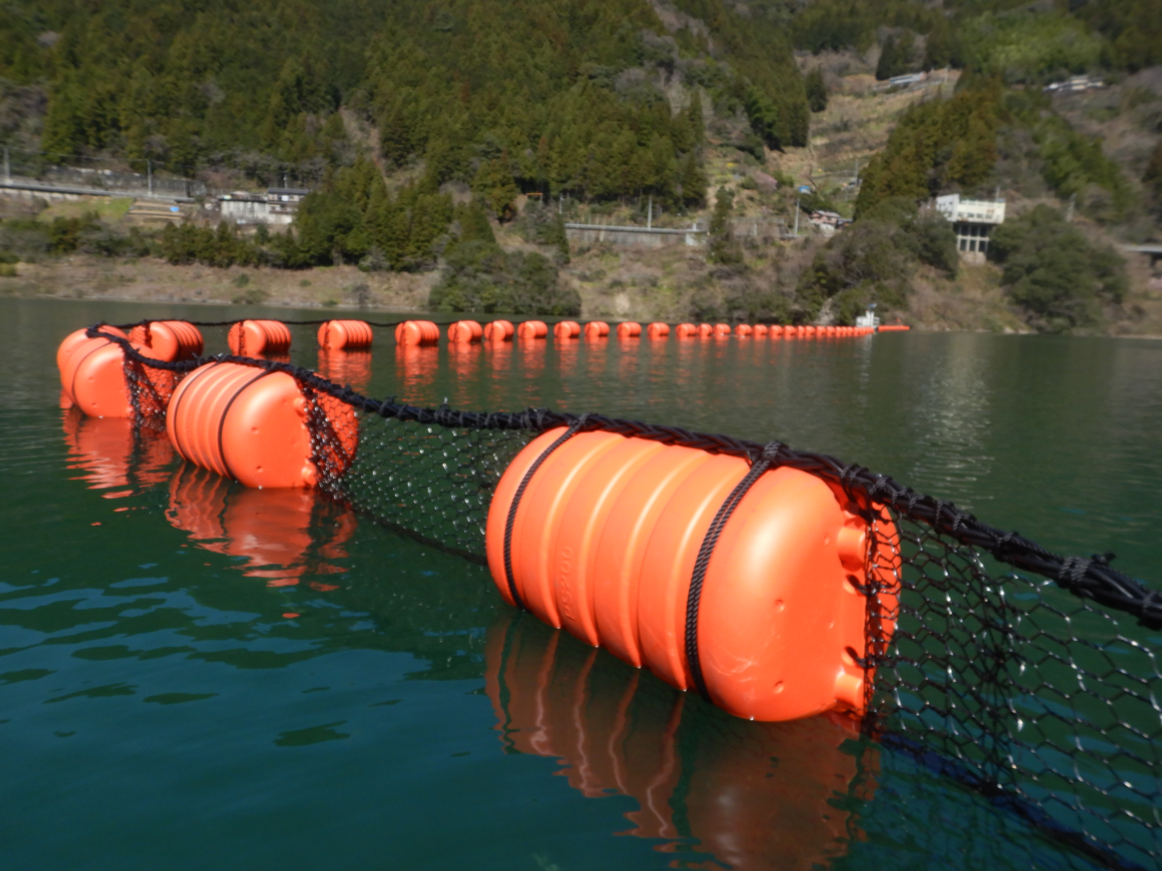 流木止設備（網場）