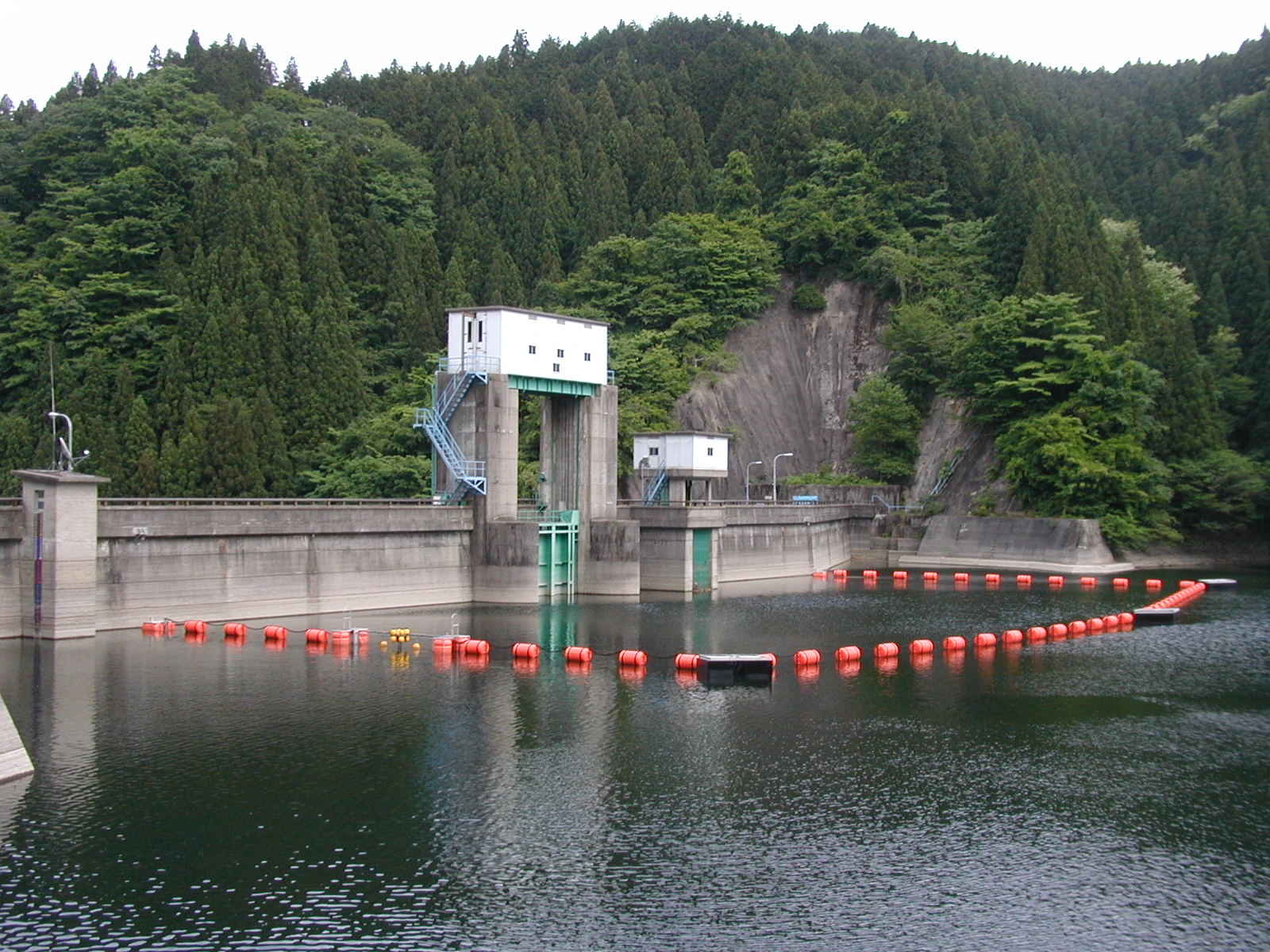 流木止設備（網場）