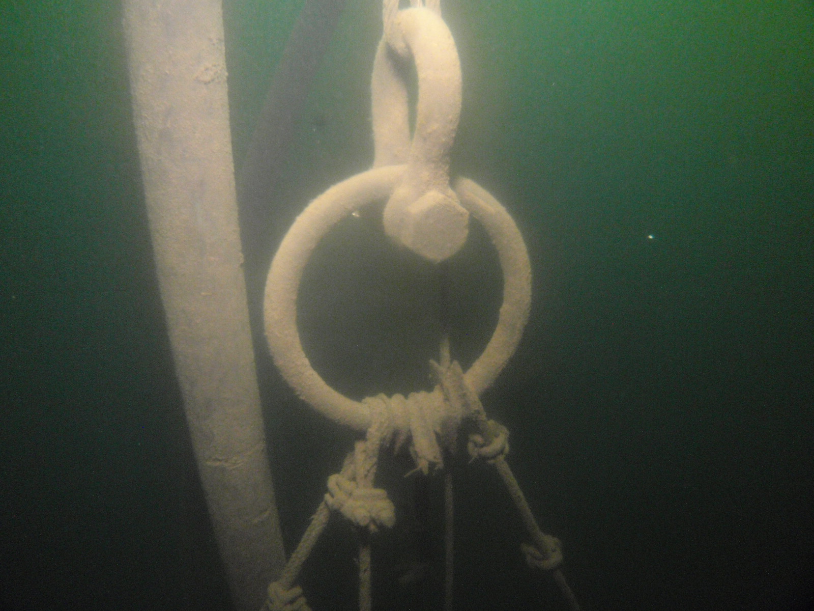 曝気設備曝気設備水中部点検