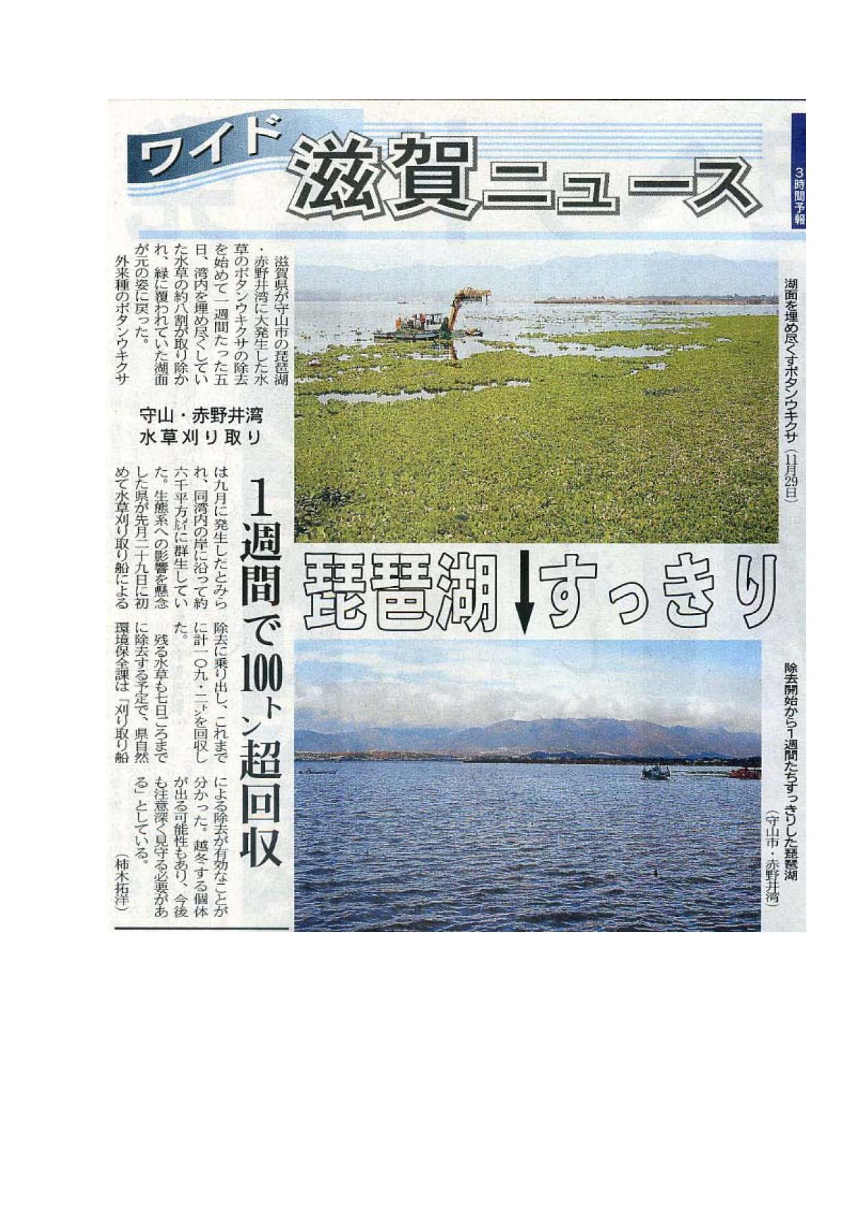 新聞・ソーシャルメディア