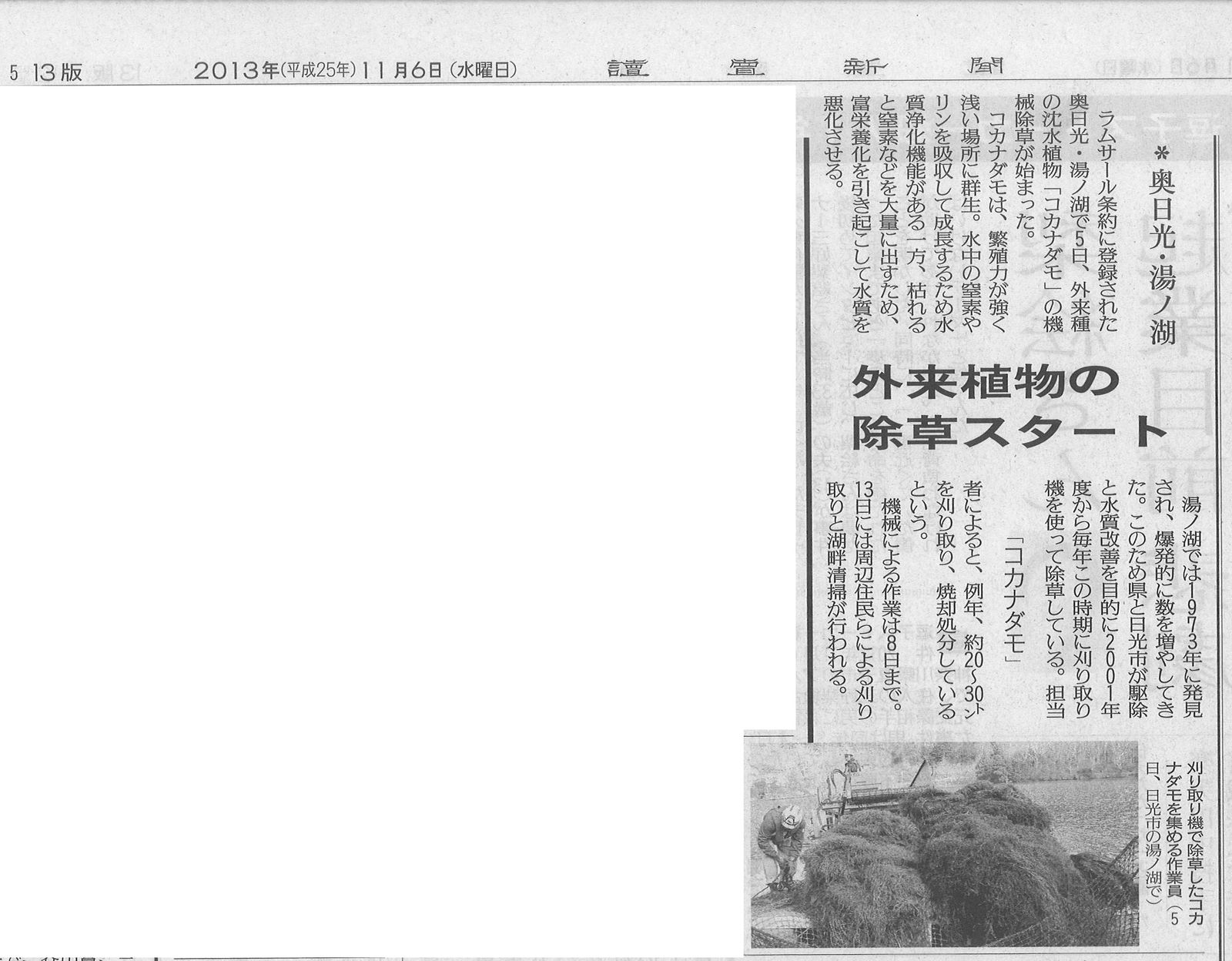 新聞・ソーシャルメディア