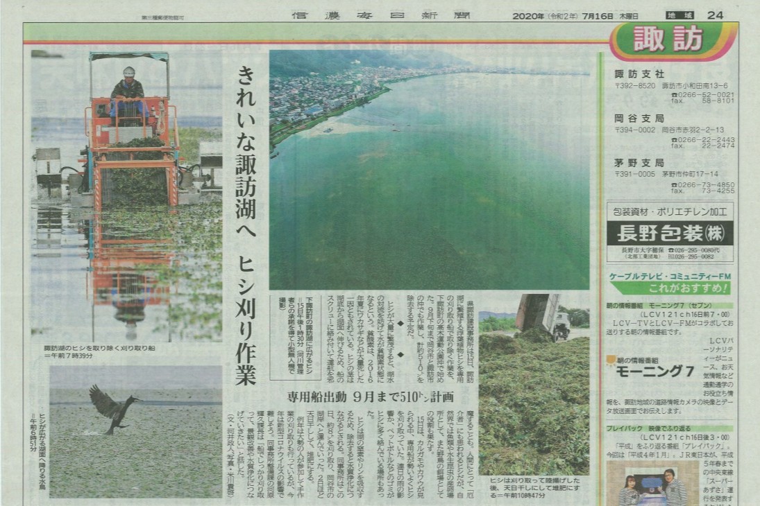 新聞・ソーシャルメディア