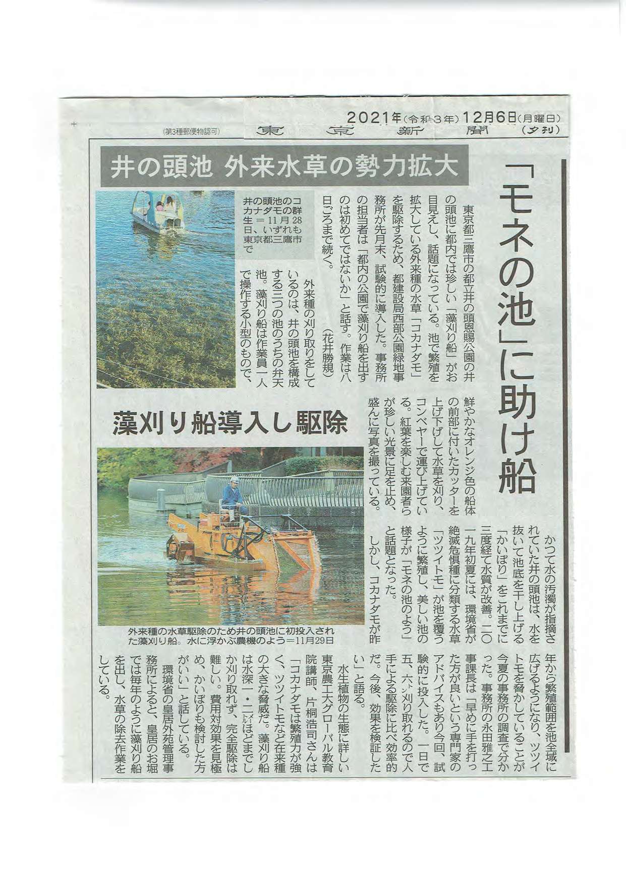 新聞・ソーシャルメディア