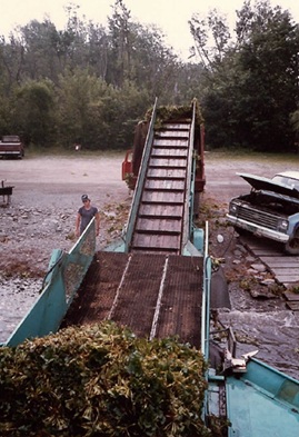 ショアコンベア