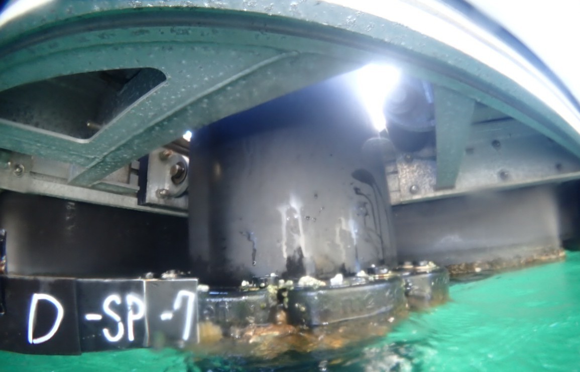 浮桟橋下部点検